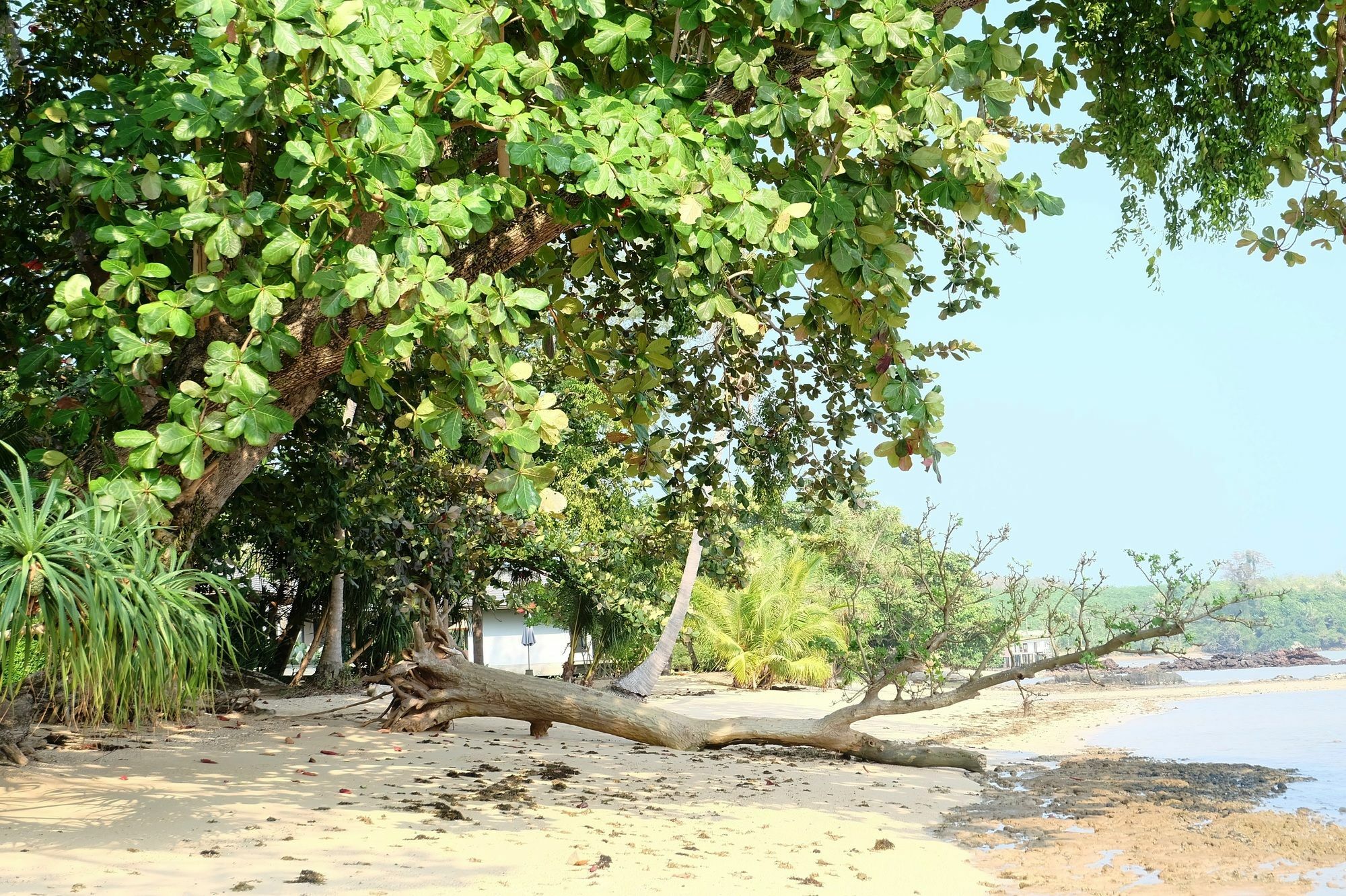Plub Pla Koh Mak Retreat Hotel Exterior photo